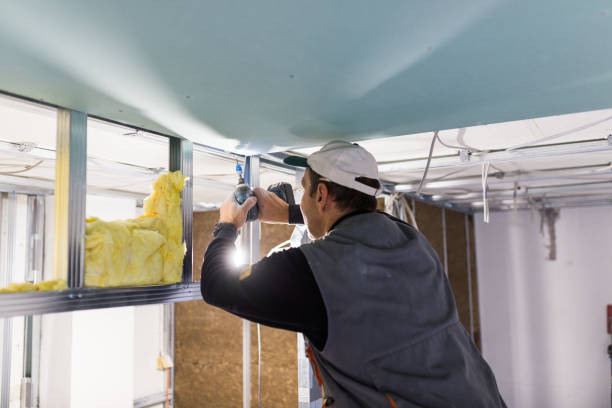 Best Insulation for Specific Applications in Harvey, ND